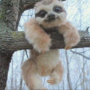 Meet your Posher, Chelsea